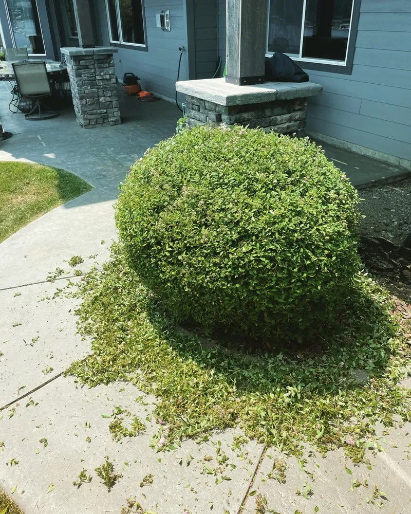 Local yard cleanup service experts serving Hayden, ID - Tenney Lawn and Land