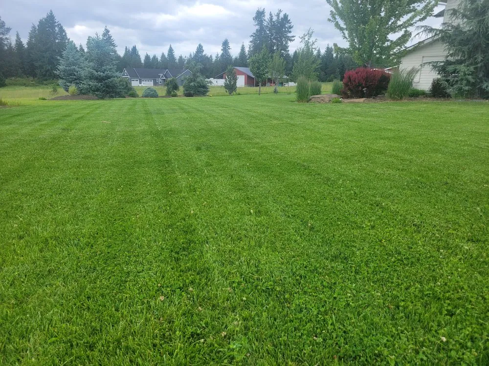Affordable lawn mowing service in Hayden, ID by Tenney Lawn and Land