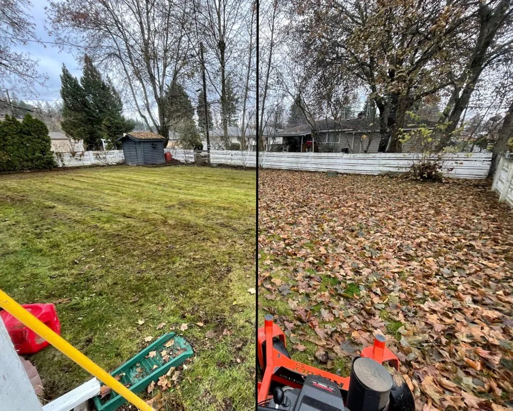 Professional residential landscaping experts serving Hayden, ID - Tenney Lawn and Land