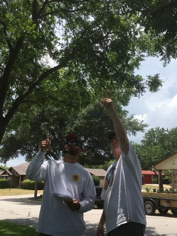 Local landscape design near you across North Richland Hills, TX - Tenorio Tree Service