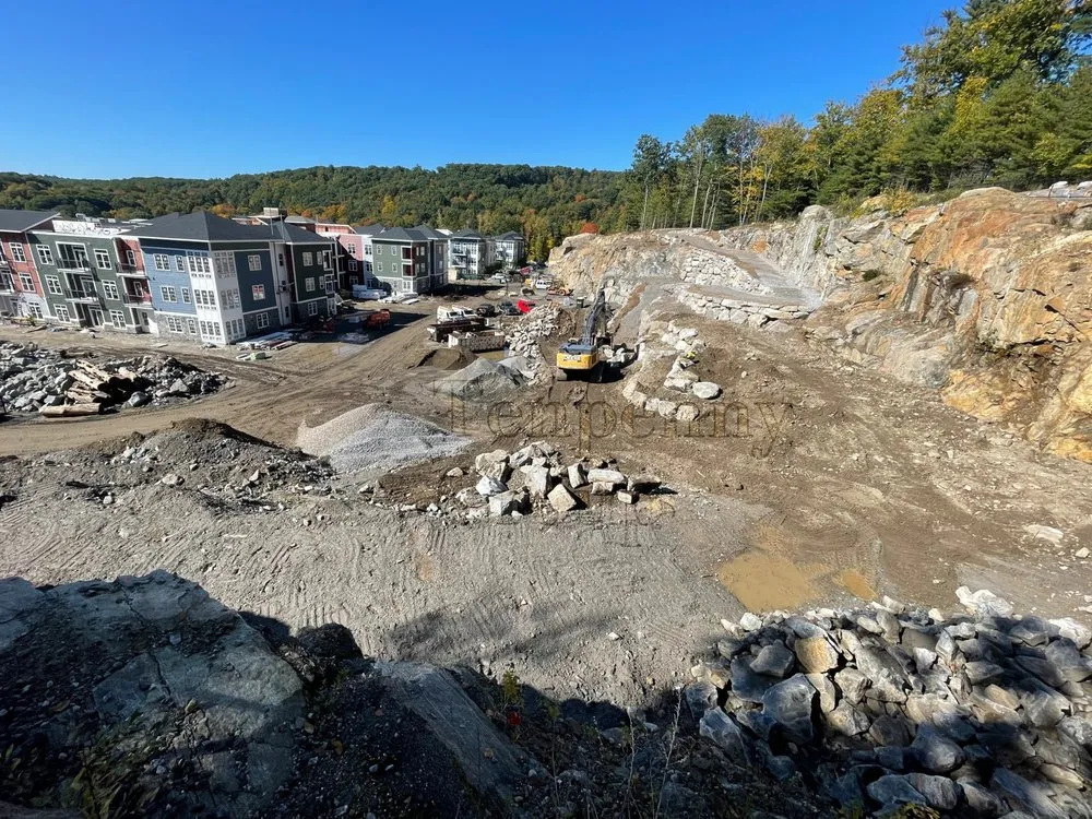 Professional yard cleanup service in Seymour, CT - Tenpenny Group