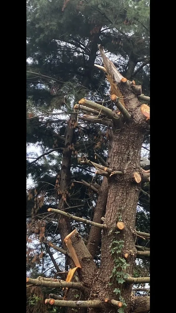 Reliable landscape installation near you in Nashville, TN by Tensaw Exterior Solutions