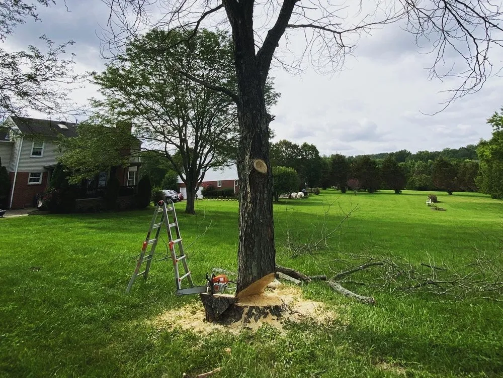 Expert landscape installation in Nashville, TN by Tensaw Exterior Solutions