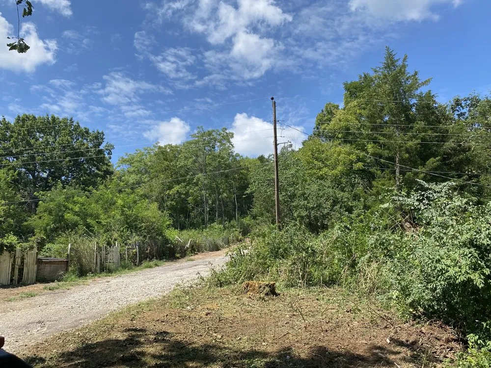 Top-rated landscaping services in Nashville, TN by Tensaw Exterior Solutions