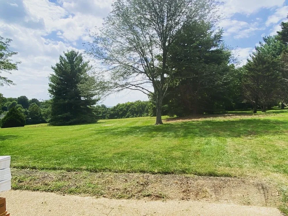 Reliable yard maintenance in Nashville, TN - Tensaw Exterior Solutions