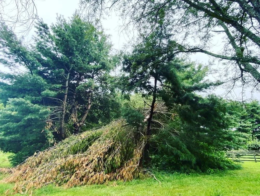 Custom landscape design for homes across Nashville, TN - Tensaw Exterior Solutions