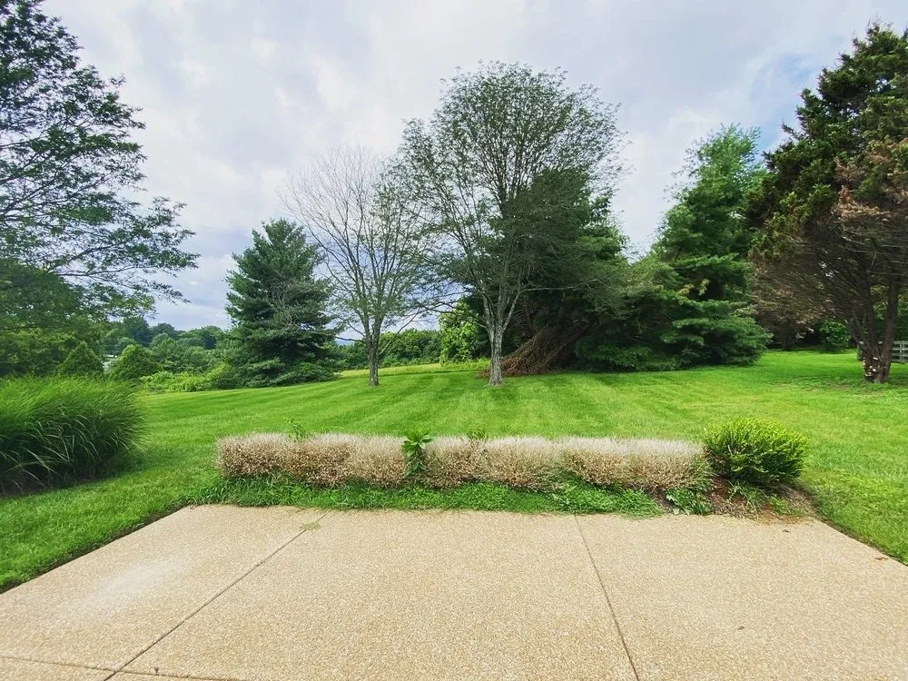 Top-rated residential landscaping for outdoor upgrades across Nashville, TN - Tensaw Exterior Solutions