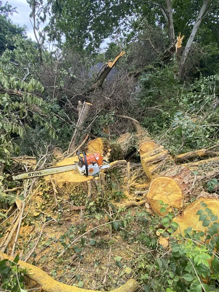 Local yard cleanup service in Nashville, TN - Tensaw Exterior Solutions