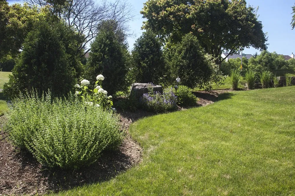 Reliable lawn mowing service in Maple Park, IL by Tentinger Landscapes