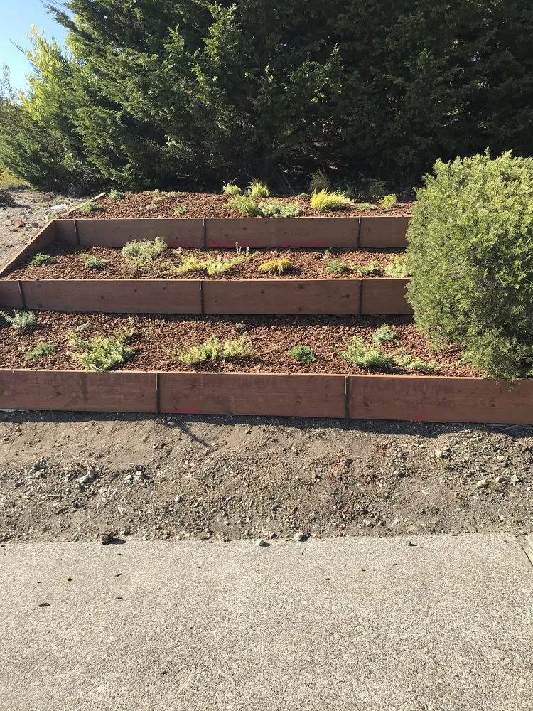 Custom garden landscaping in San Rafael, CA - Teodulo Landscaping