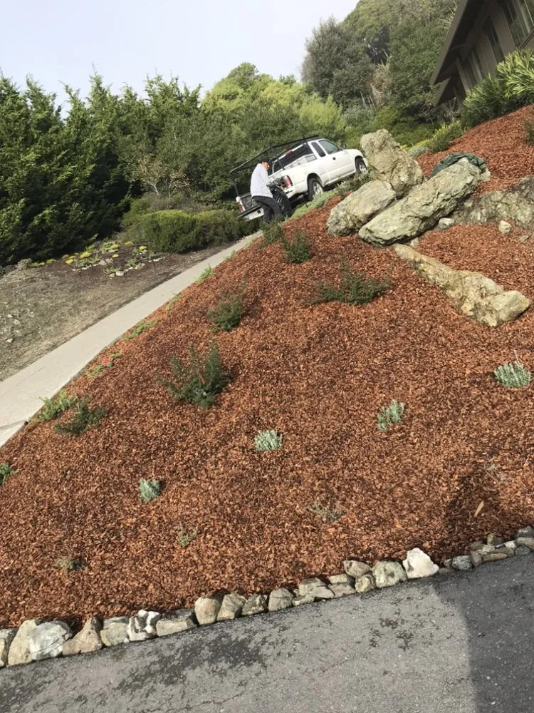 Custom outdoor landscaping for residential properties in San Rafael, CA by Teodulo Landscaping