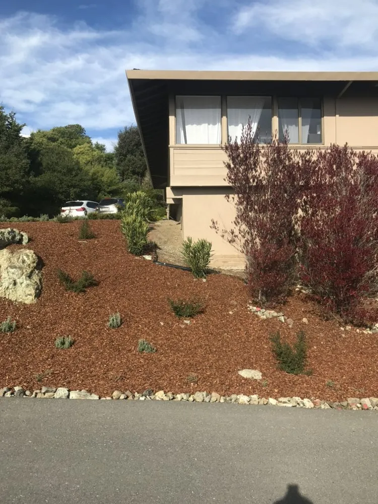 Top-rated landscaping services experts serving San Rafael, CA - Teodulo Landscaping