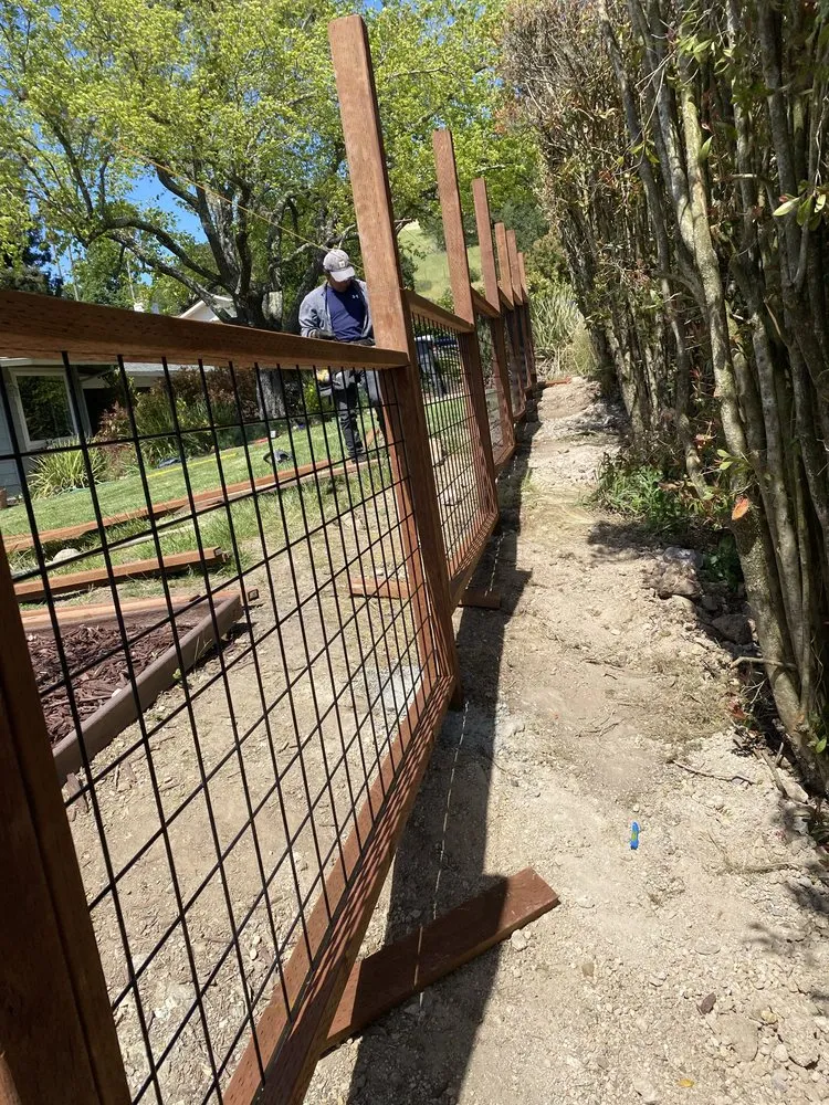 Custom yard cleanup service near you across San Rafael, CA - Teodulo Landscaping