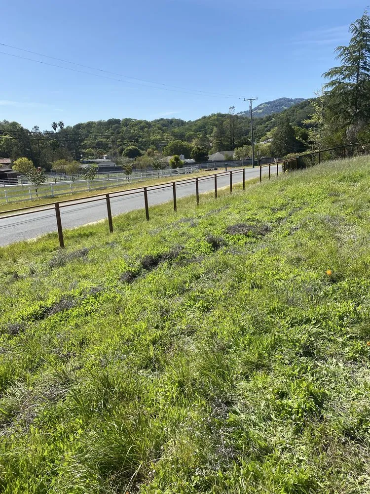 Local lawn mowing service experts serving San Rafael, CA - Teodulo Landscaping