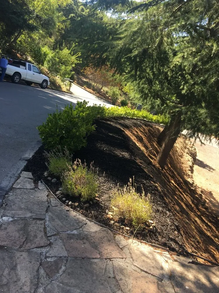 Top-rated landscaping services with custom design across San Rafael, CA - Teodulo Landscaping