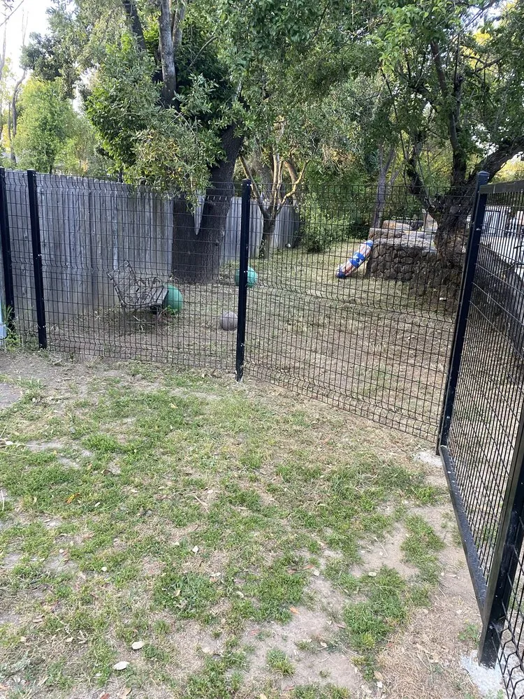 Top-rated landscape installation for year-round maintenance in San Rafael, CA by Teodulo Landscaping