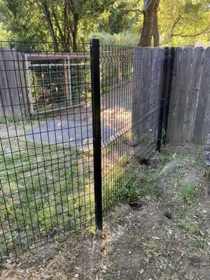 Teodulo Landscaping Logo