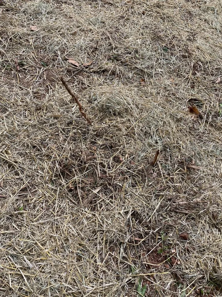 Custom landscaping services for outdoor upgrades in Powder Springs, GA by Teos Landscaping