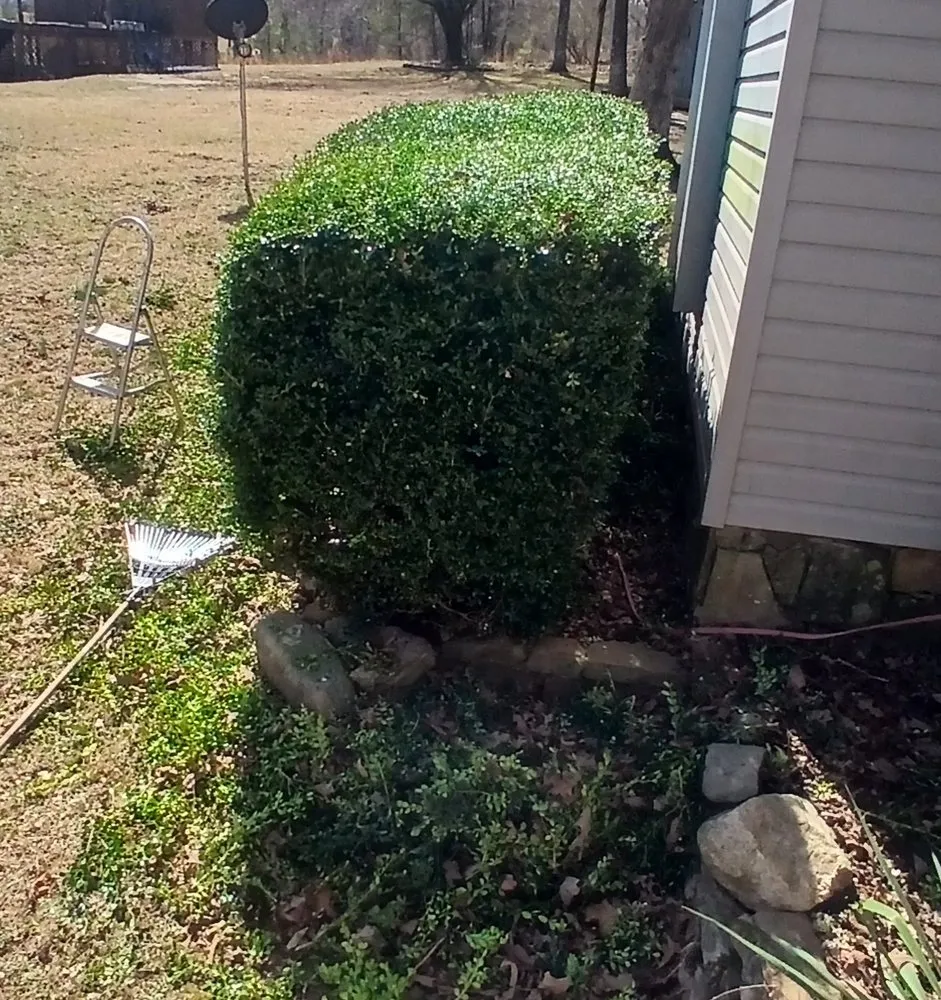 Reliable garden landscaping near you in Fort Payne, AL by Teo’s Landscaping service