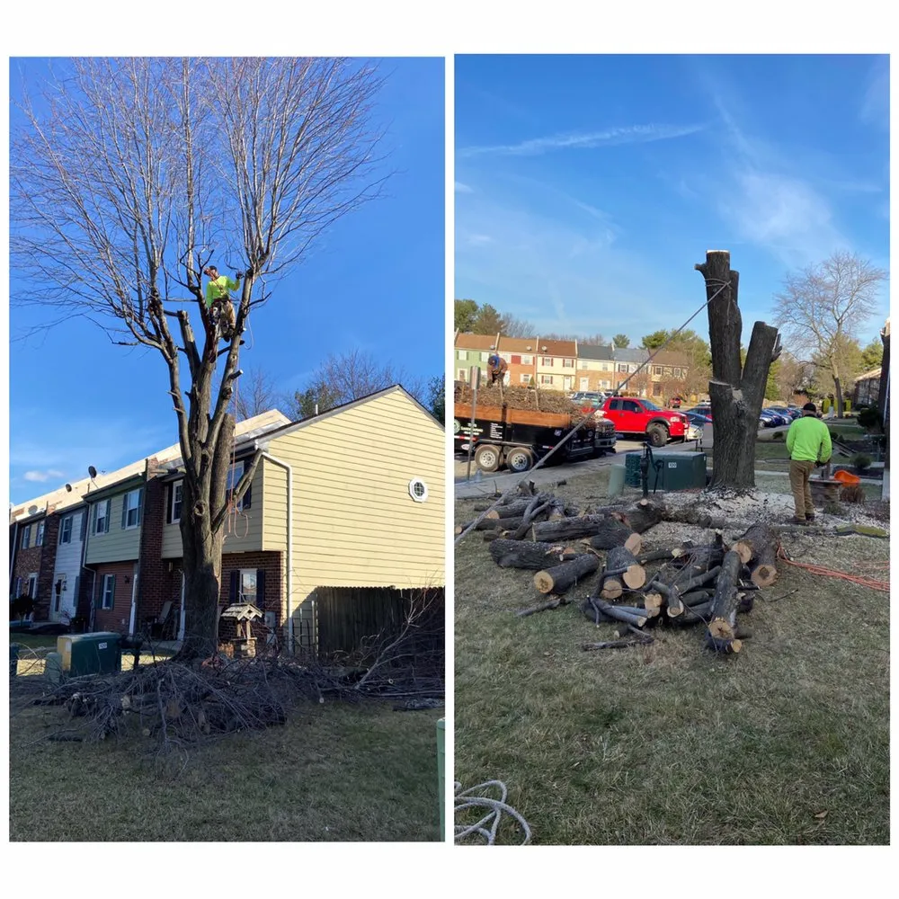 Expert yard maintenance experts serving Thurmont, MD - Teo's Landscaping