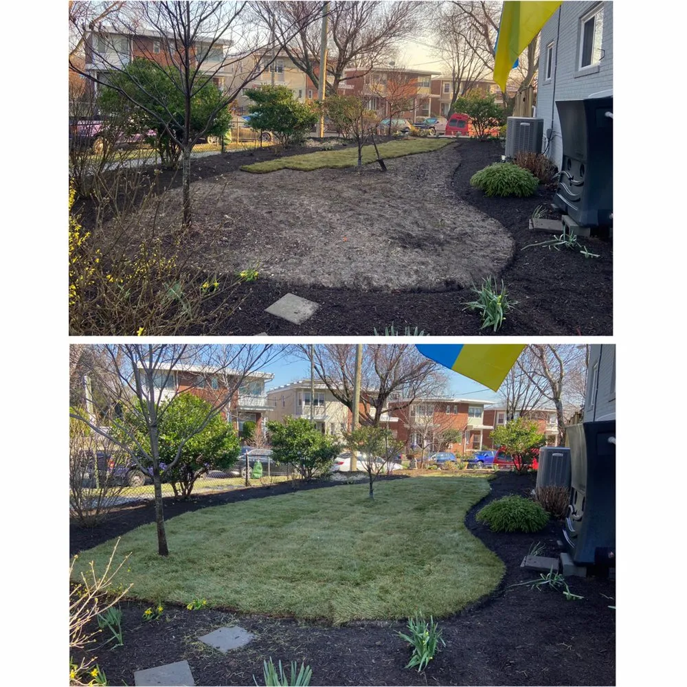 Expert yard maintenance experts serving Thurmont, MD - Teo's Landscaping