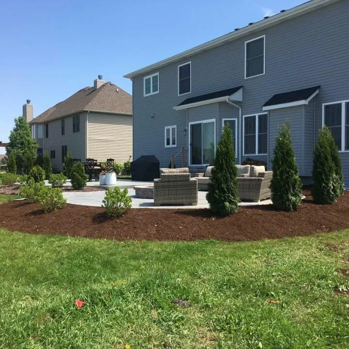 Top-rated yard cleanup service in Joliet, IL - Tepas Lawnscape Maintenance & Concrete