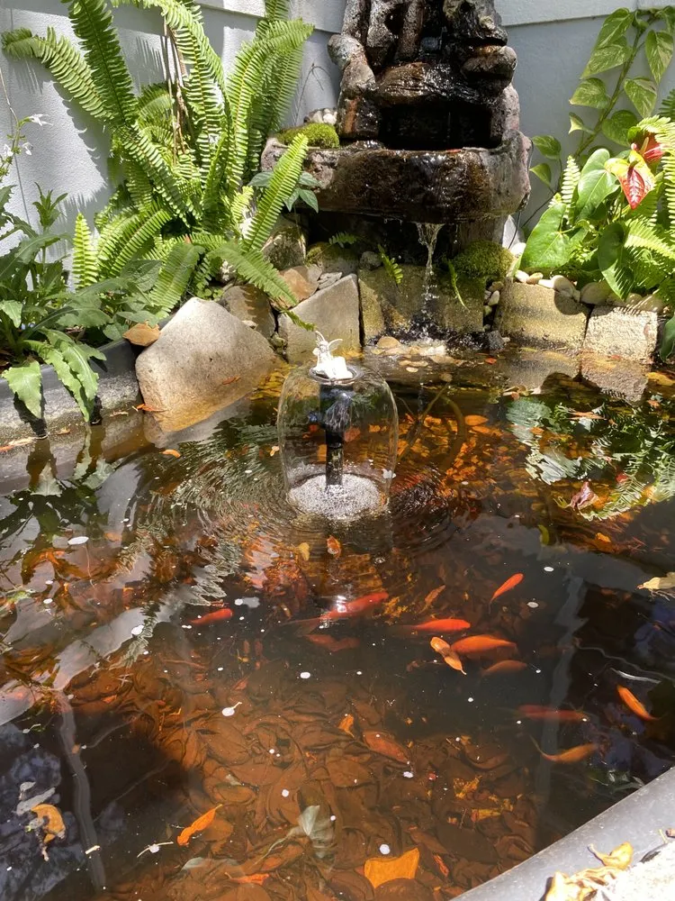 Expert garden landscaping experts serving St Petersburg, FL - Terah Gardens