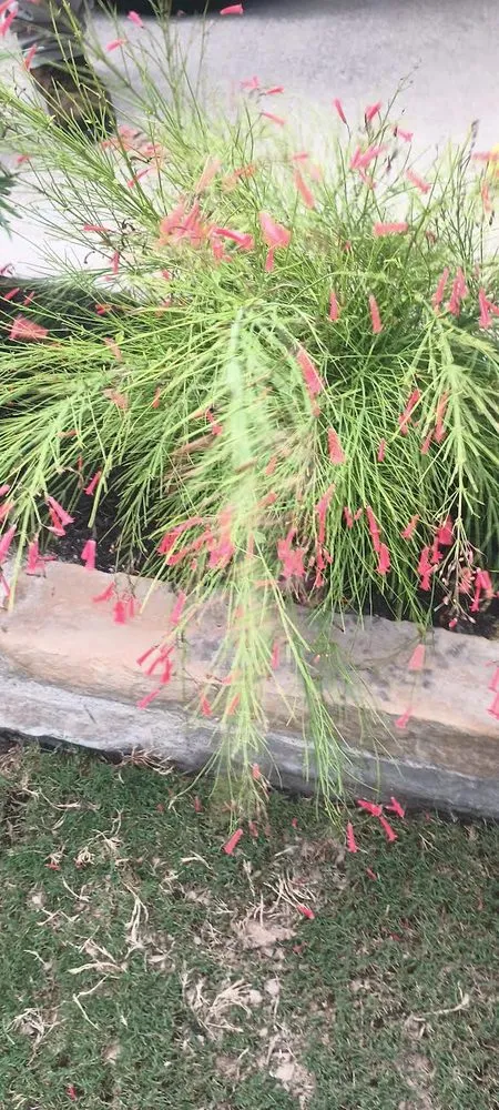 Reliable lawn mowing service for beautiful yards across Brookshire, TX - Teran Landscaping and Fence Service