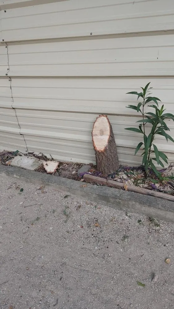 Reliable landscape installation in Brookshire, TX - Teran Landscaping and Fence Service