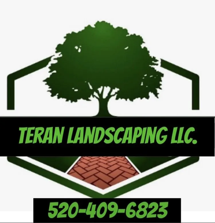 Expert lawn mowing service for homes in Marana, AZ by Teran Landscaping