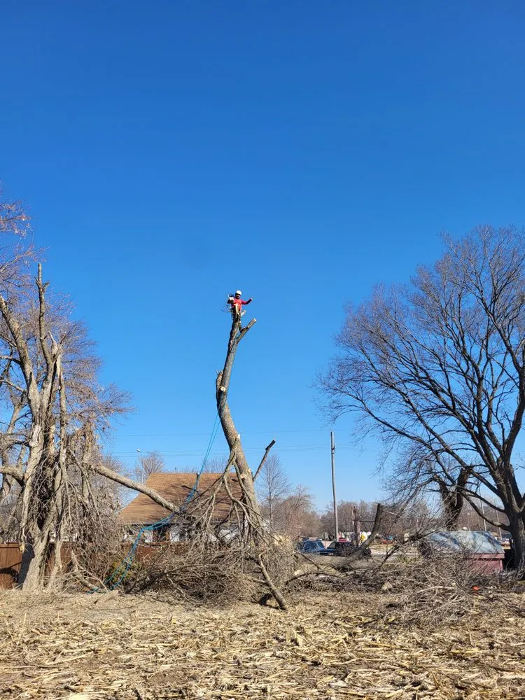 Reliable lawn care service in Crete, NE - Tercero Mowing Services