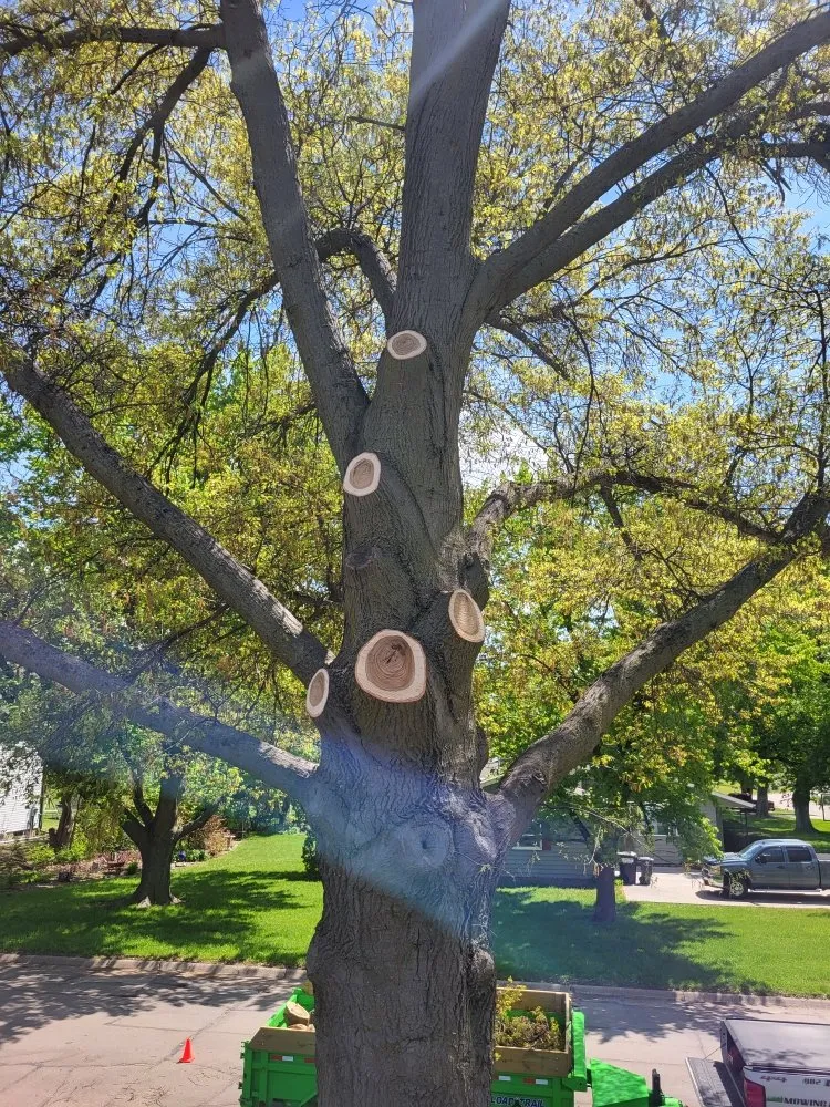 Professional outdoor landscaping in Crete, NE by Tercero Mowing Services