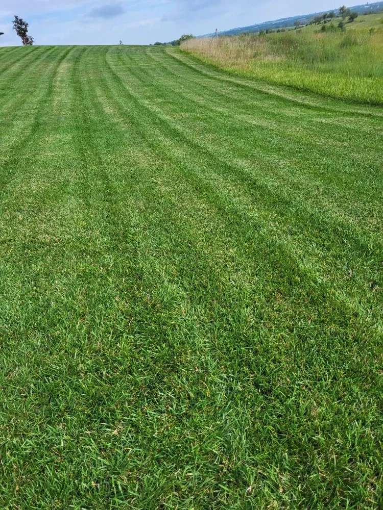 Local lawn care service for outdoor upgrades in Crete, NE by Tercero Mowing Services