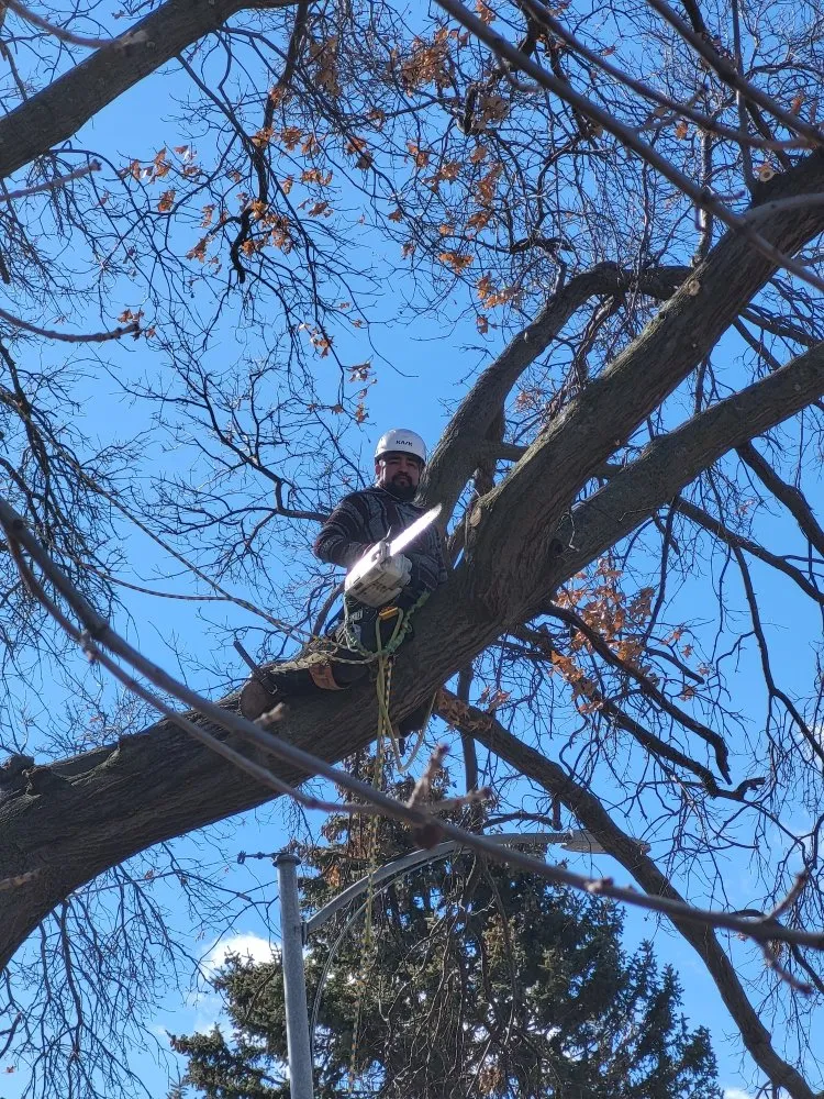 Affordable yard maintenance for homes across Crete, NE - Tercero Mowing Services