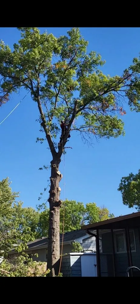 Reliable landscape installation for residential properties in Crete, NE by Tercero Mowing Services