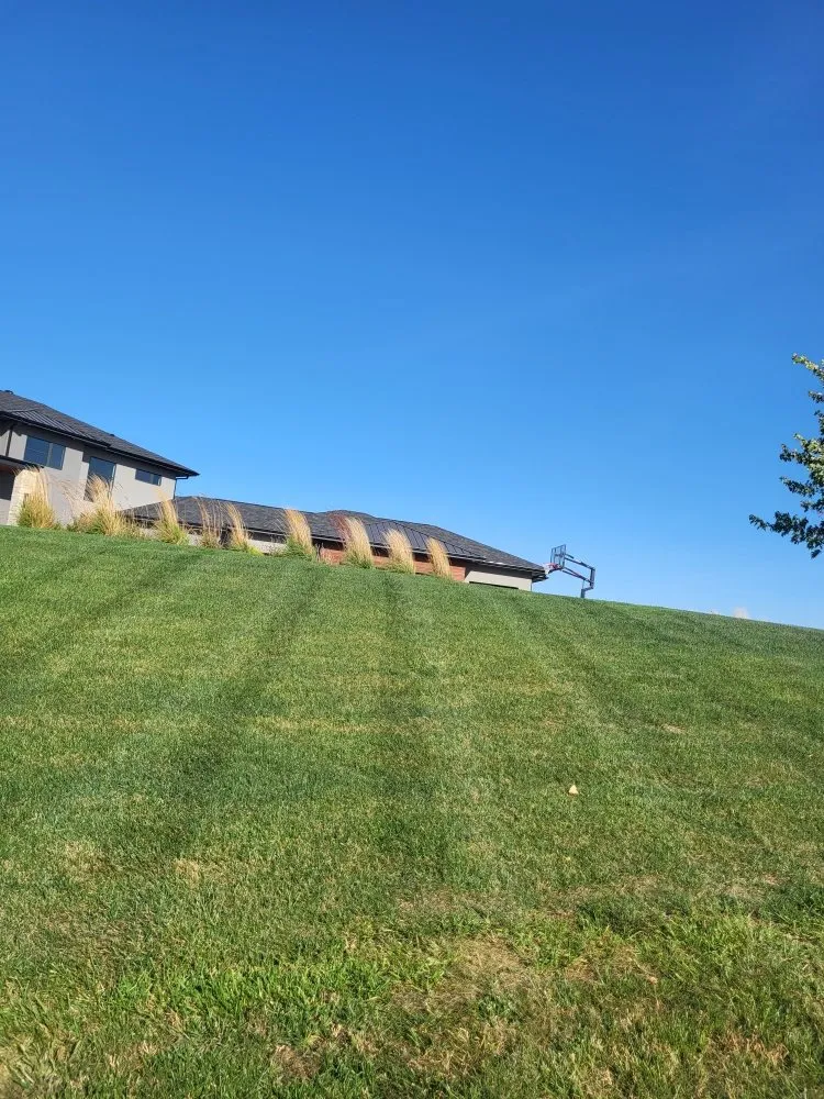 Reliable landscape installation for residential properties across Crete, NE - Tercero Mowing Services