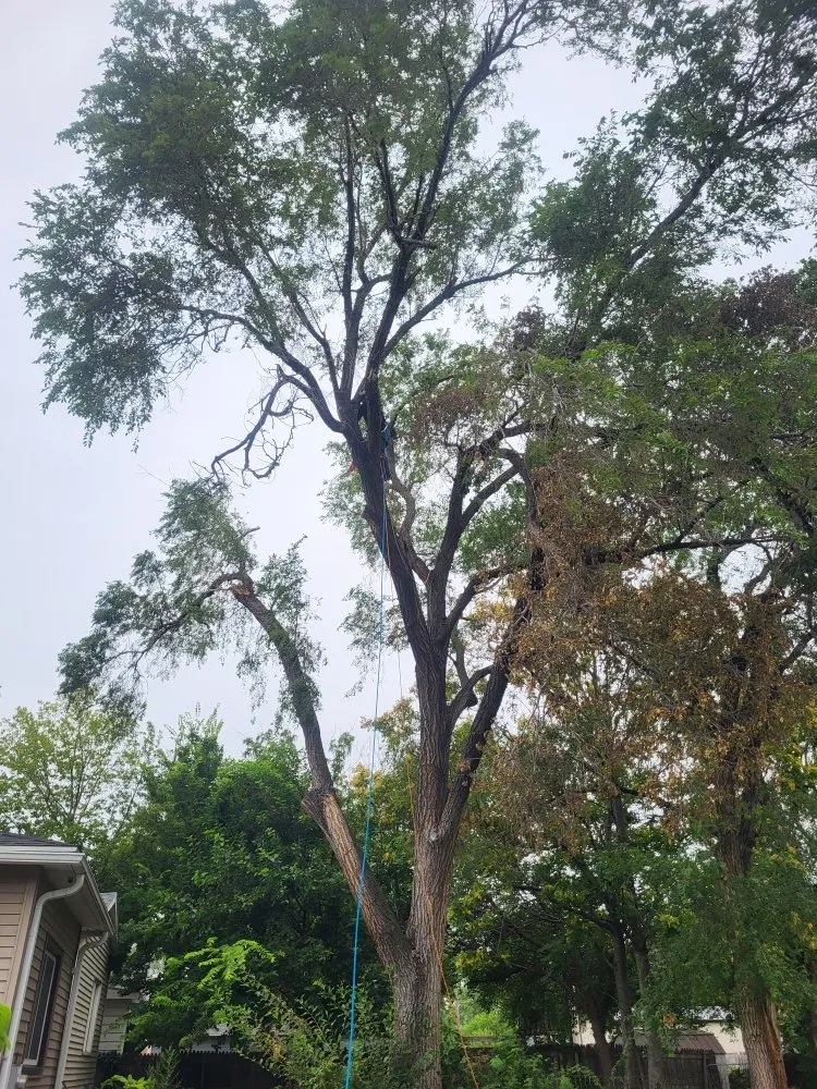 Custom garden landscaping for outdoor upgrades in Crete, NE by Tercero Mowing Services