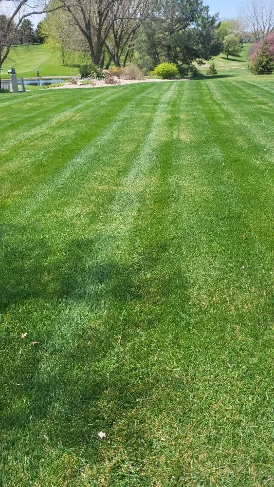 Professional lawn care service for residential properties in Crete, NE by Tercero Mowing Services