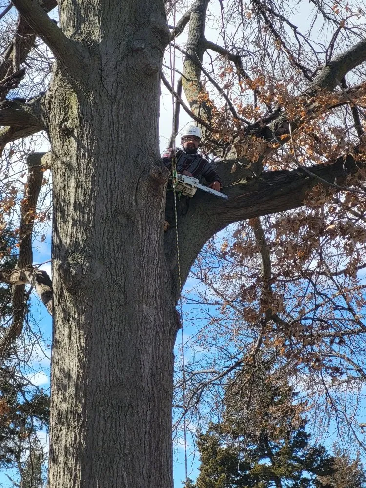 Expert residential landscaping for outdoor upgrades across Crete, NE - Tercero Mowing Services