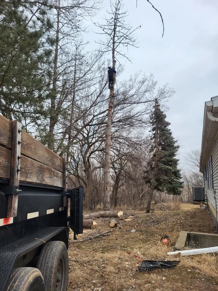 Professional outdoor landscaping in Crete, NE by Tercero Mowing Services