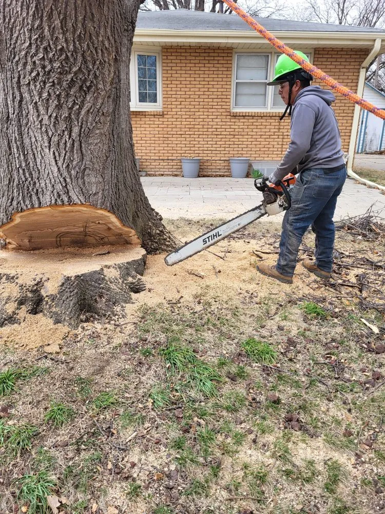 Affordable yard cleanup service with custom design in Crete, NE by Tercero Mowing Services