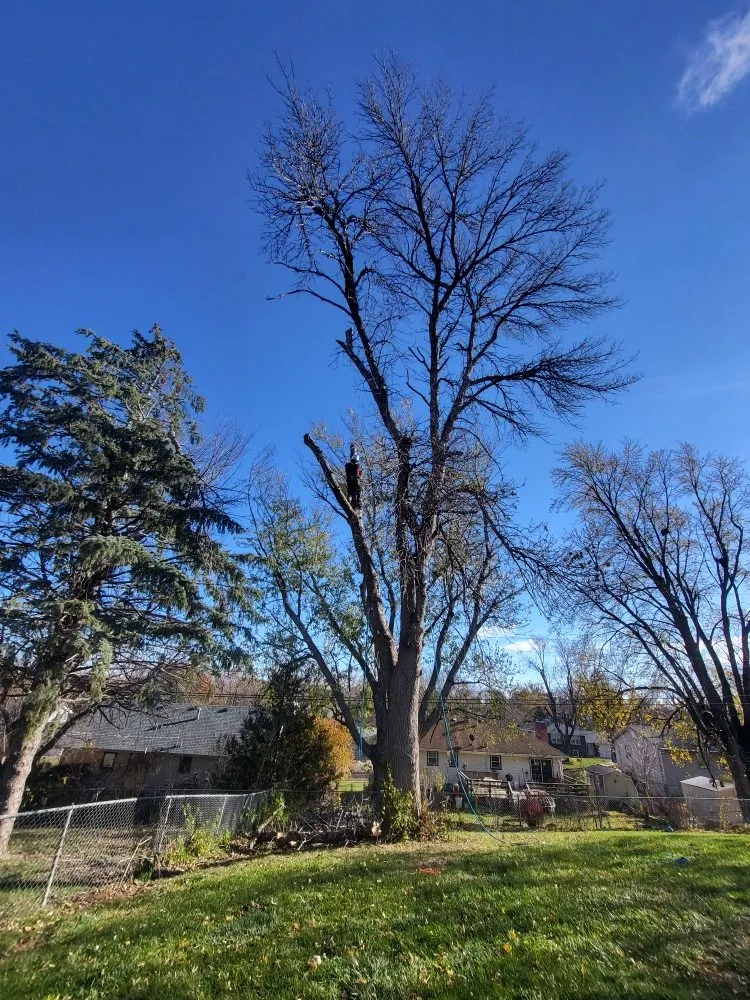 Custom outdoor landscaping experts serving Crete, NE - Tercero Mowing Services