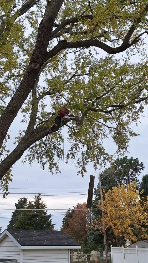 Reliable outdoor landscaping in Crete, NE - Tercero Mowing Services