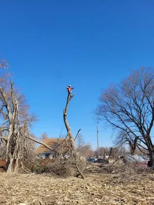 Tercero Mowing Services