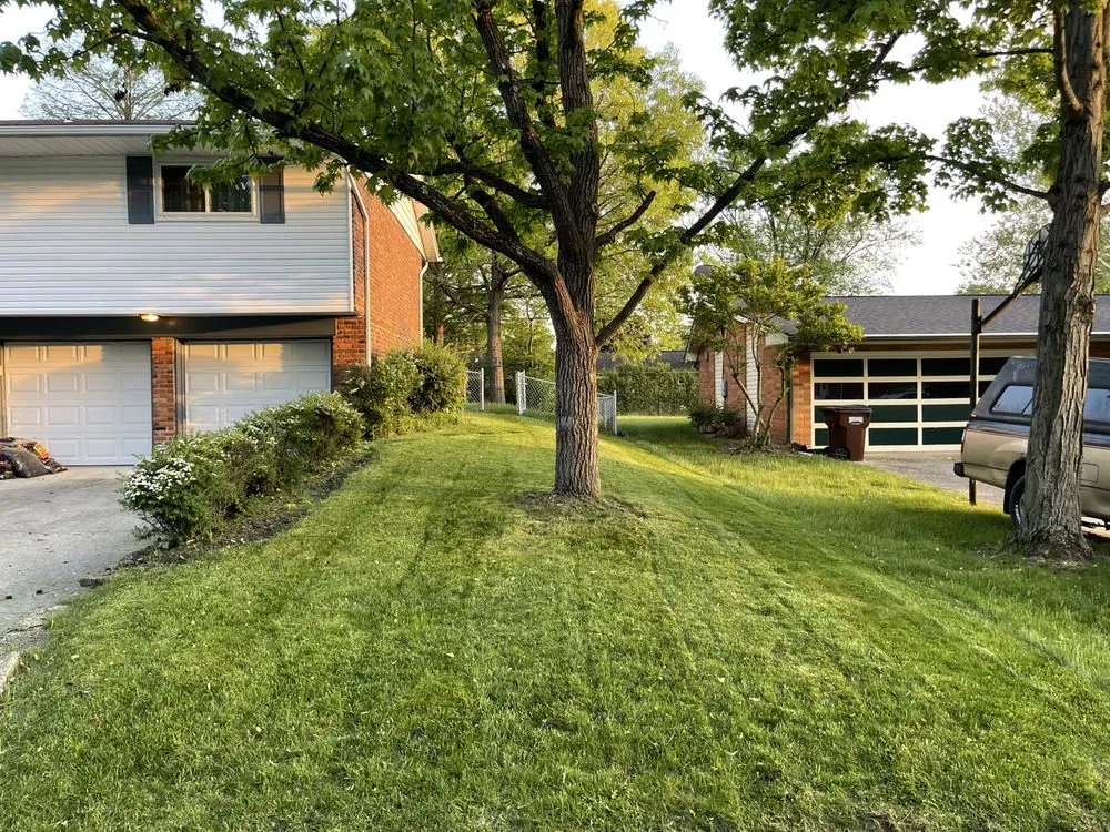 Reliable outdoor landscaping in Dayton, OH - Terence Lawn Care And Scrap Cleaning