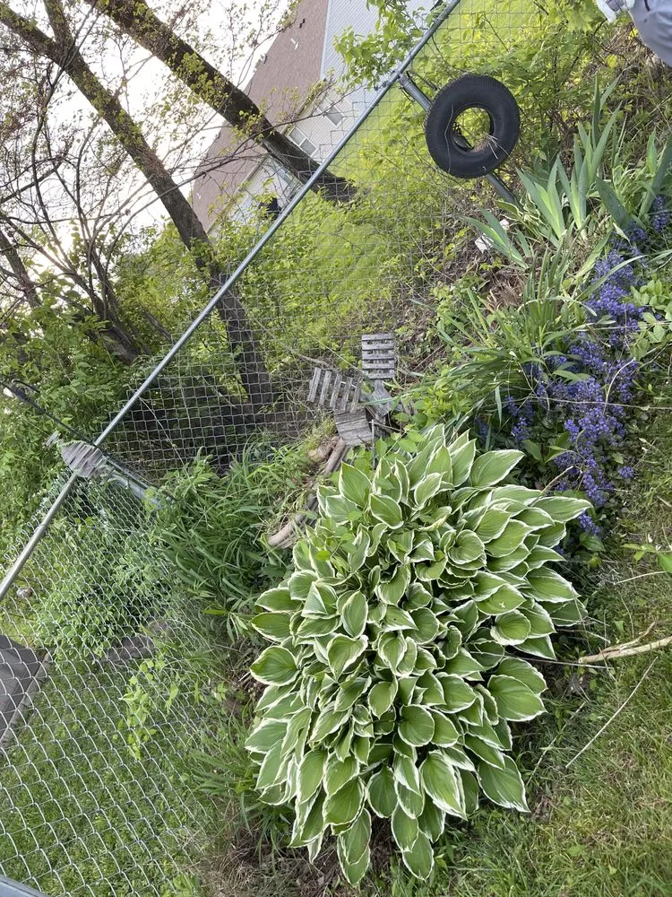 Custom garden landscaping in Dayton, OH - Terence Lawn Care And Scrap Cleaning