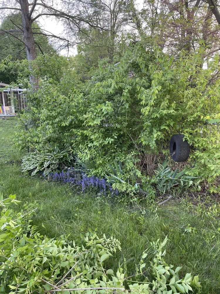 Affordable landscape installation with custom design in Dayton, OH by Terence Lawn Care And Scrap Cleaning