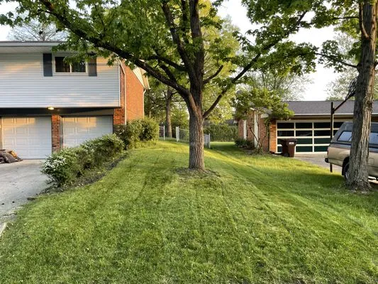 Terence Lawn Care And Scrap Cleaning Logo