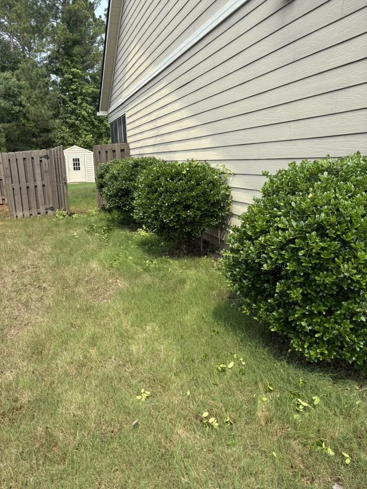 Affordable landscape design for year-round maintenance across Augusta, GA - Tere’s Garden Design & Landscaping