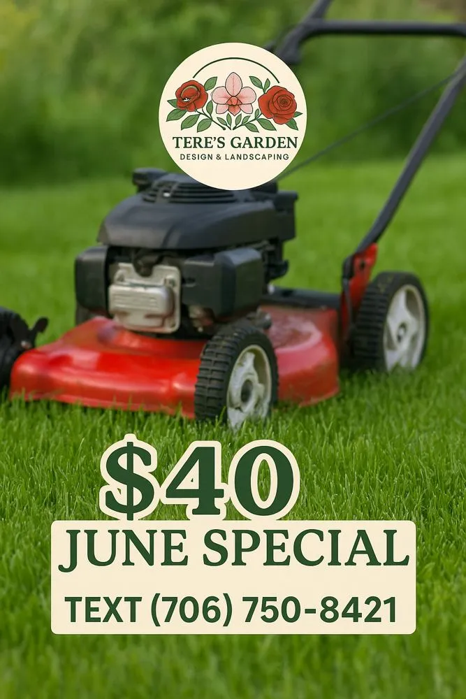 Reliable yard maintenance in Augusta, GA - Tere’s Garden Design & Landscaping